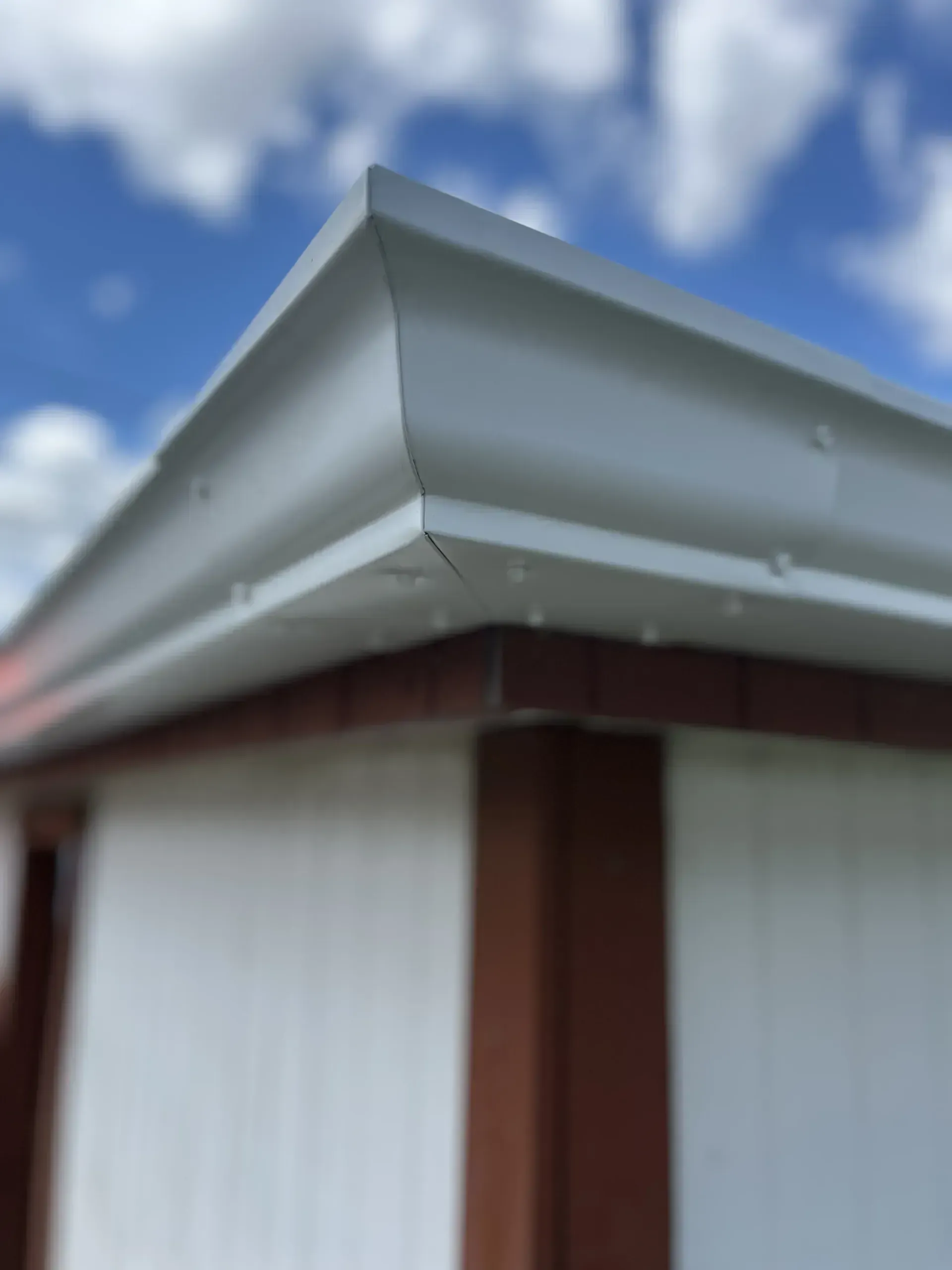 Gutter Cleaning & Repair